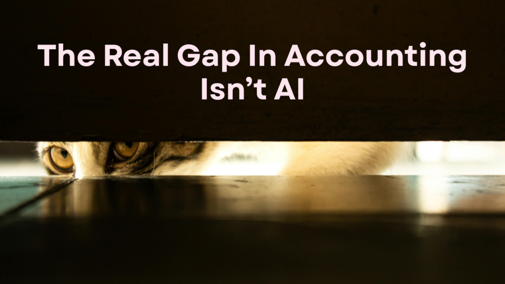 A cat looking through a wide gap - the real gap in accounting isn't AI